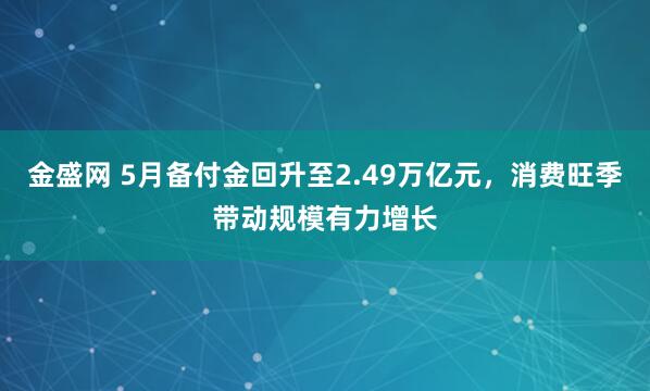 金盛网 5月备付金回升至2.49万亿元，消费旺季带动规模有力增长