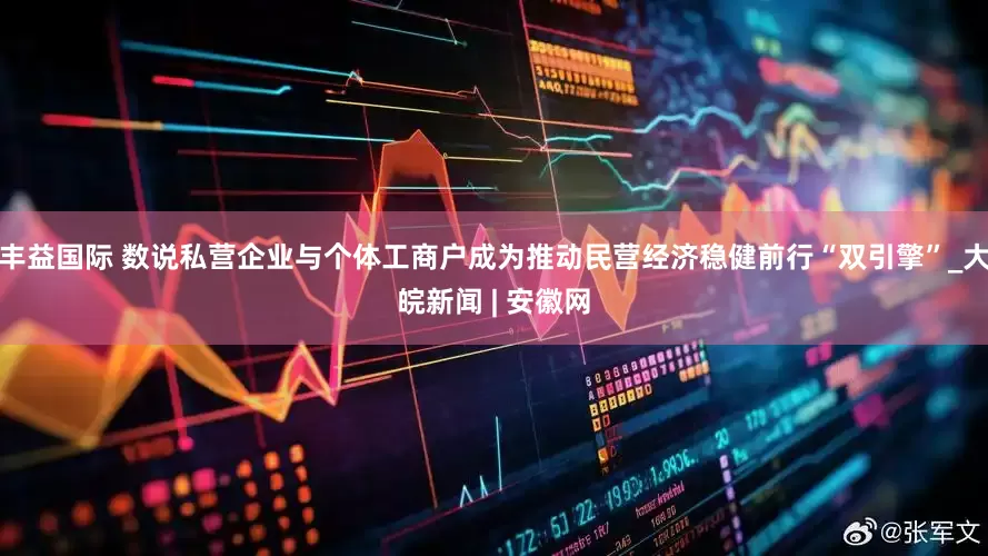 丰益国际 数说私营企业与个体工商户成为推动民营经济稳健前行“双引擎”_大皖新闻 | 安徽网
