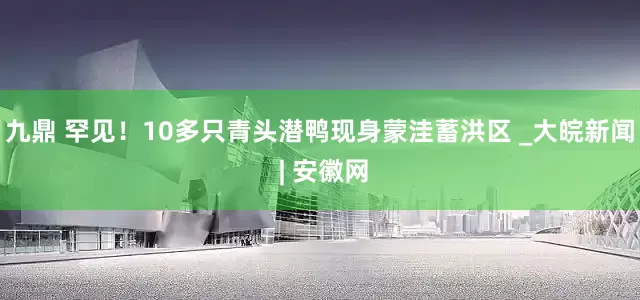 九鼎 罕见！10多只青头潜鸭现身蒙洼蓄洪区 _大皖新闻 | 安徽网