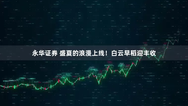 永华证券 盛夏的浪漫上线！白云早稻迎丰收
