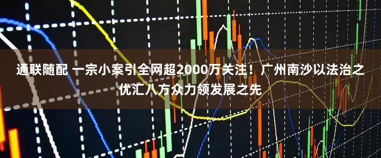 通联随配 一宗小案引全网超2000万关注！广州南沙以法治之优汇八方众力领发展之先