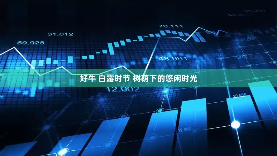 好牛 白露时节 树荫下的悠闲时光